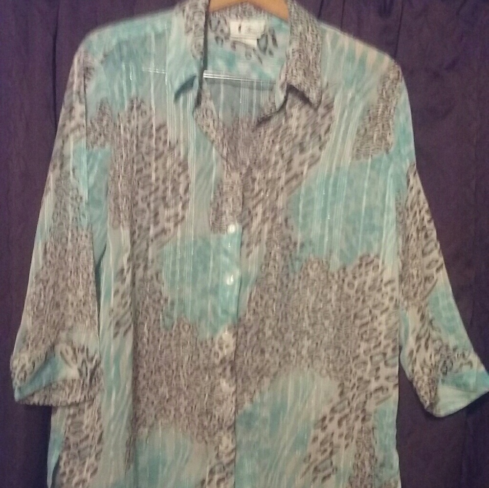 N Touch Sheer Top